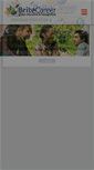 Mobile Screenshot of britecareer.com